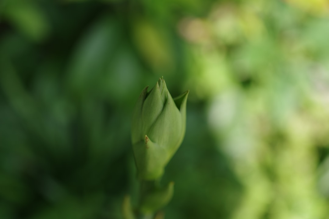箕輪厚介