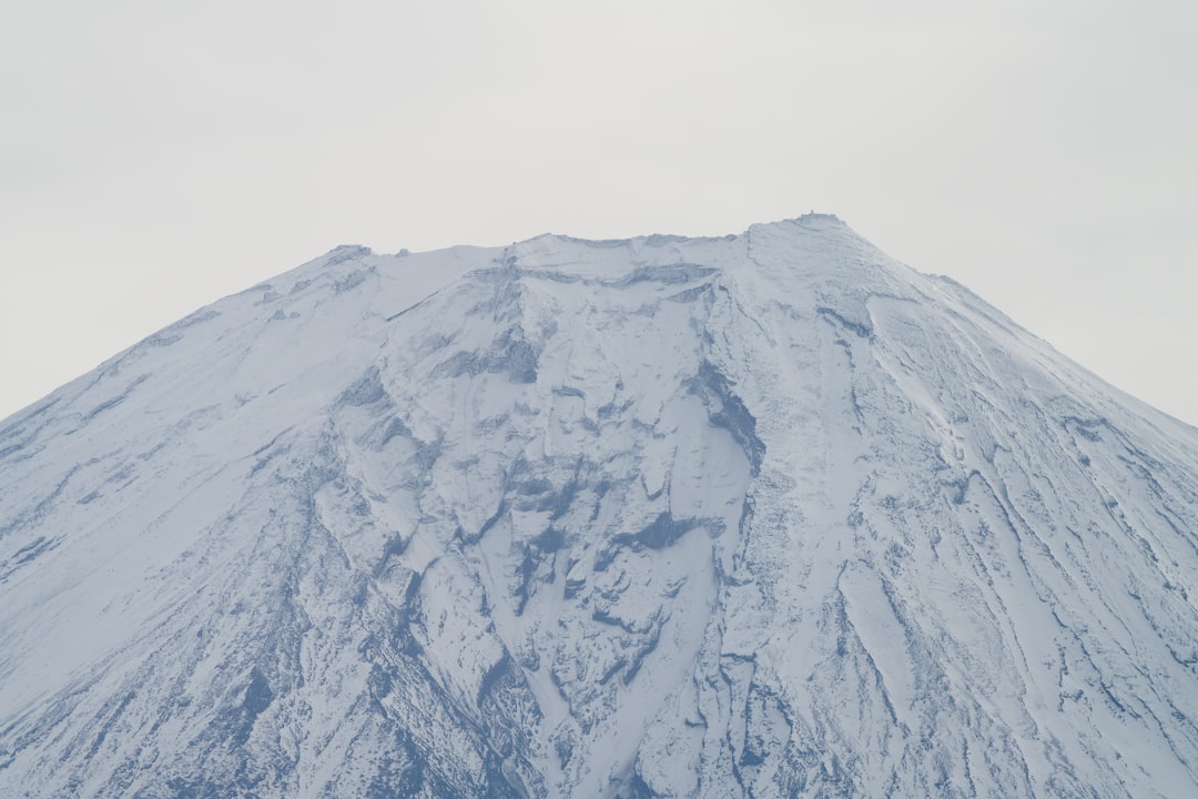 中山 美穂