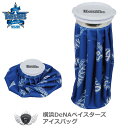 スポーツ 冷却 クールダウン プロ野球 NPB!横浜DeNAベイスターズ アイスバッグ YBMC-0768 【IR】