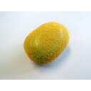 【暮らしラクラク応援セール】日本職人が作る 食品サンプル キウイ IP-353【取り寄せ・返品不可商品】