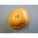 【暮らしラクラク応援セール】日本職人が作る 食品サンプル じゃがいも IP-360【取り寄せ・返品不可商品】