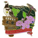 日本百名山 ピンバッジ 1段 ピンズ 光岳 エイコー コレクションケース入り トレッキング 登山 グッズ 通販 メール便可 シネマコレクション プレゼント 男の子 女の子 ギフト