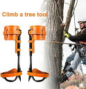 木登り靴 木登り器 木登り道具 ステンレス鋼 木登りツール ステンレス製 科学デザイン 落下防止 プレゼント 木登りアーティファク 極登山スパイク 固定ストラップ付き 落下防止 木の足を登る 昇柱器 登山木の靴 登山などに適用 木登り器 木登り道具