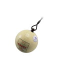 ★世界陸上競技連盟承認品・日本陸上競技連盟検定品★【ニシスポーツ　NISHI】 陸上 ハンマー U18女子用 ダクタイル 3.000kg 検定品 U18 女子 3kg ハンマー投げ WA 承認 JAAF 検定品 NF244B [200406][大型宅配便]