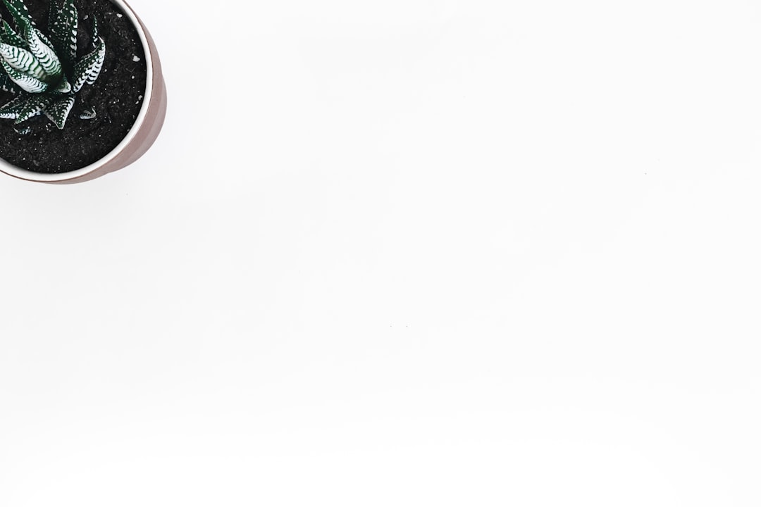 電気ケトル 小型 携帯用 コンパクト電気ケトル ミニケトル ポータブルケトル 沸騰後自動OFF 空焚き防止 蓋取り外し可能 コンパクト電気ポット 湯沸かし器 お手入れ簡単 キッチン用品