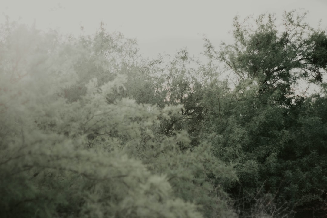 ロバートレッドフォード