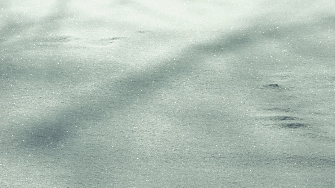 【バレーボール西田有志選手 愛用ブランド】ザムスト(ZAMST) 太ももサポーター バスケ バレー サッカー テニス ランニング スポーツ全般 日常生活 左右兼用