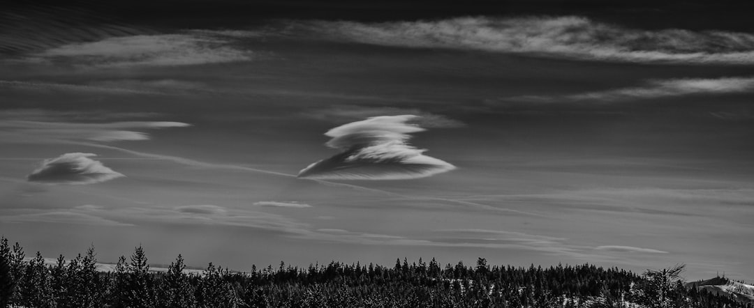 正体不明の怪異 忍野扇 こよみリバース 超究極 モンスト 攻略