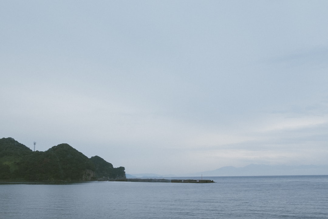 ヤクルト 対 広島