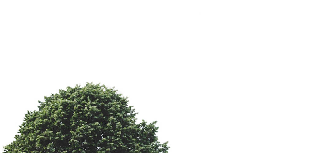 ★ポイント最大16倍★【全国配送可】-メンソレータム リフレア デオドラントクリーム 25g ロート製薬 JAN 4987241173075 kt512364 取寄品 健康管理 理美容品 (理美容品)-【介護福祉用具】