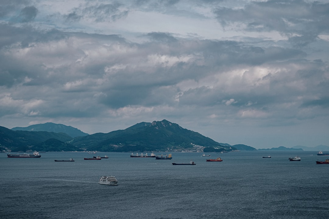 ヤクルト 対 広島
