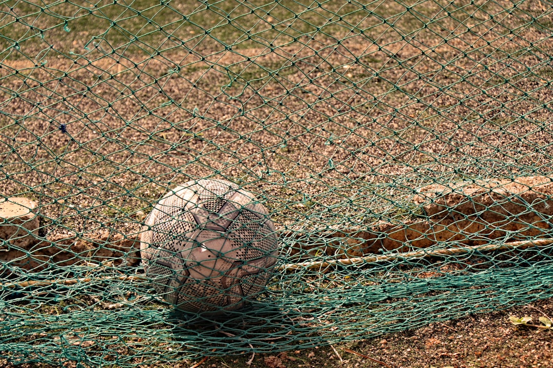 プロ野球戦力外通告