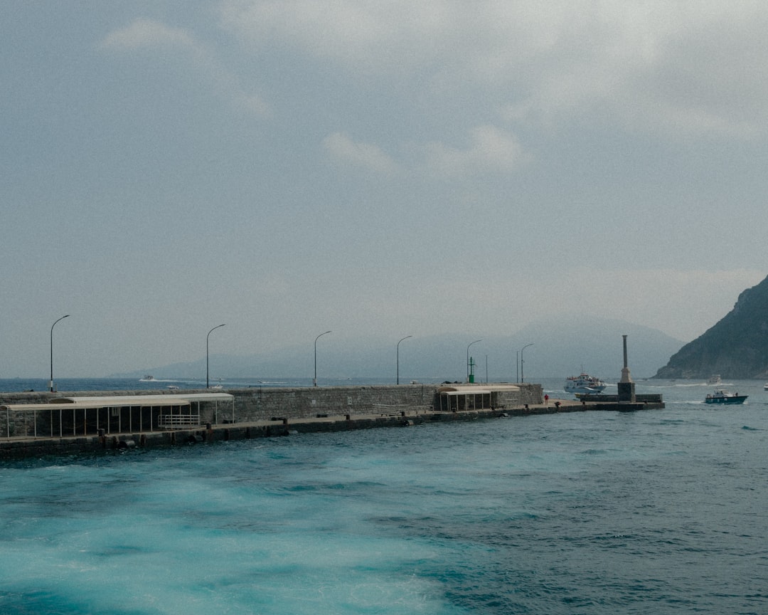 ヤクルト 対 広島