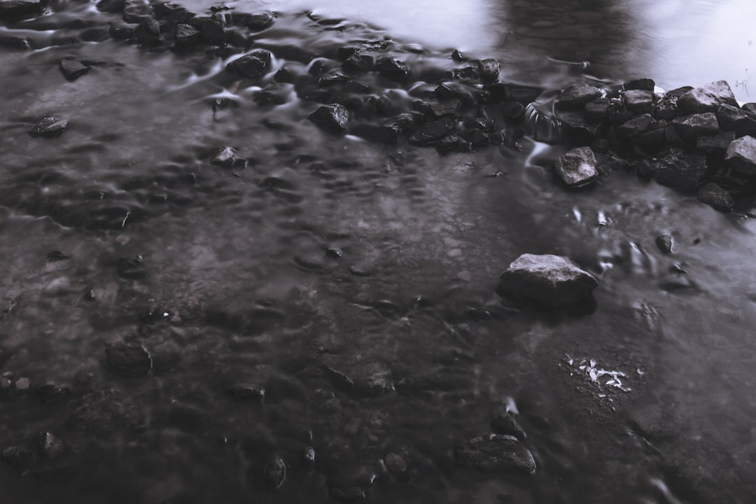 ばけばけ 池脇千鶴