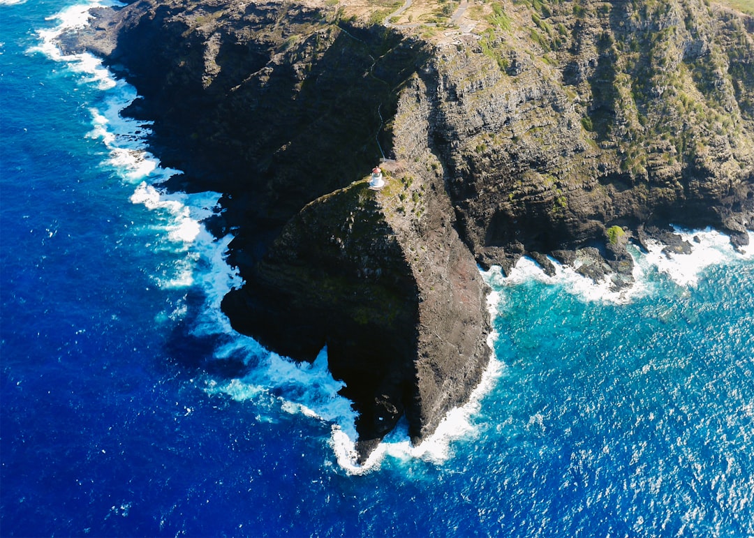 南海トラフ巨大地震