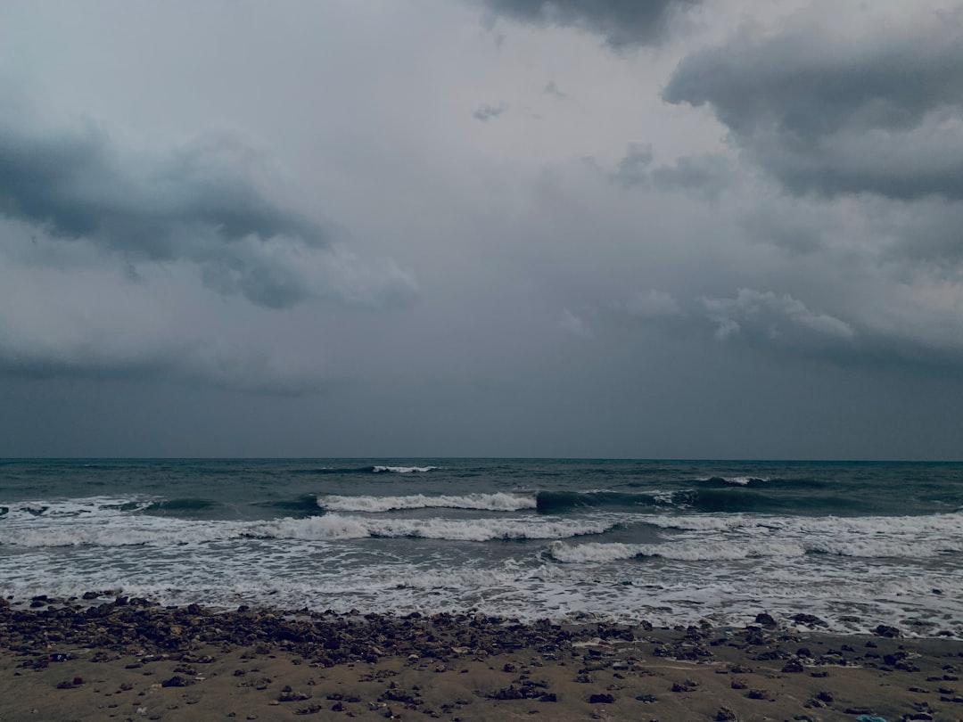 津波予報(若干の海面変動)