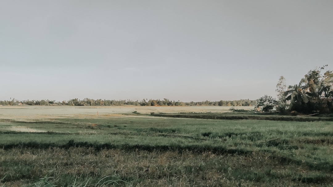 マリオンクレープ コラボ