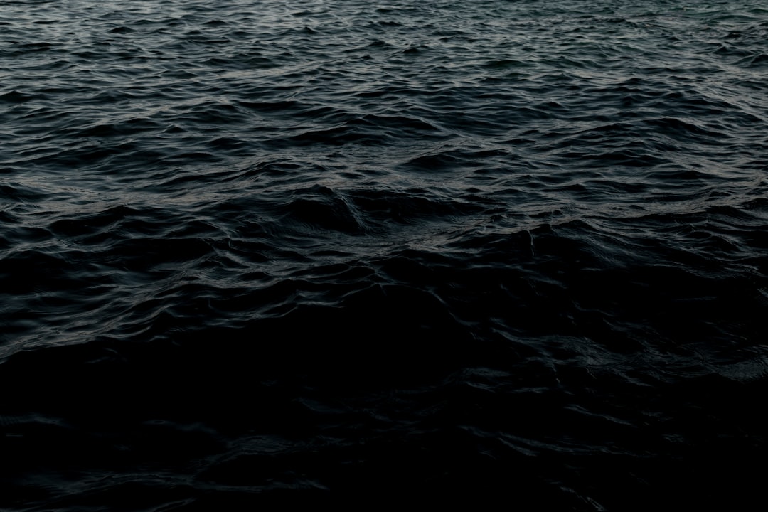 救命胴衣 釣り つり フローティング ベスト 救命 水遊び 海 ビーチ プール 大人用 夏用品 海水浴 安全 事故防止 防災用 海釣り 防災グッズ スタイリッシュ 鮎釣り 初心者 渓流釣り 魚釣り 川釣り 防災用品 船釣り aaa