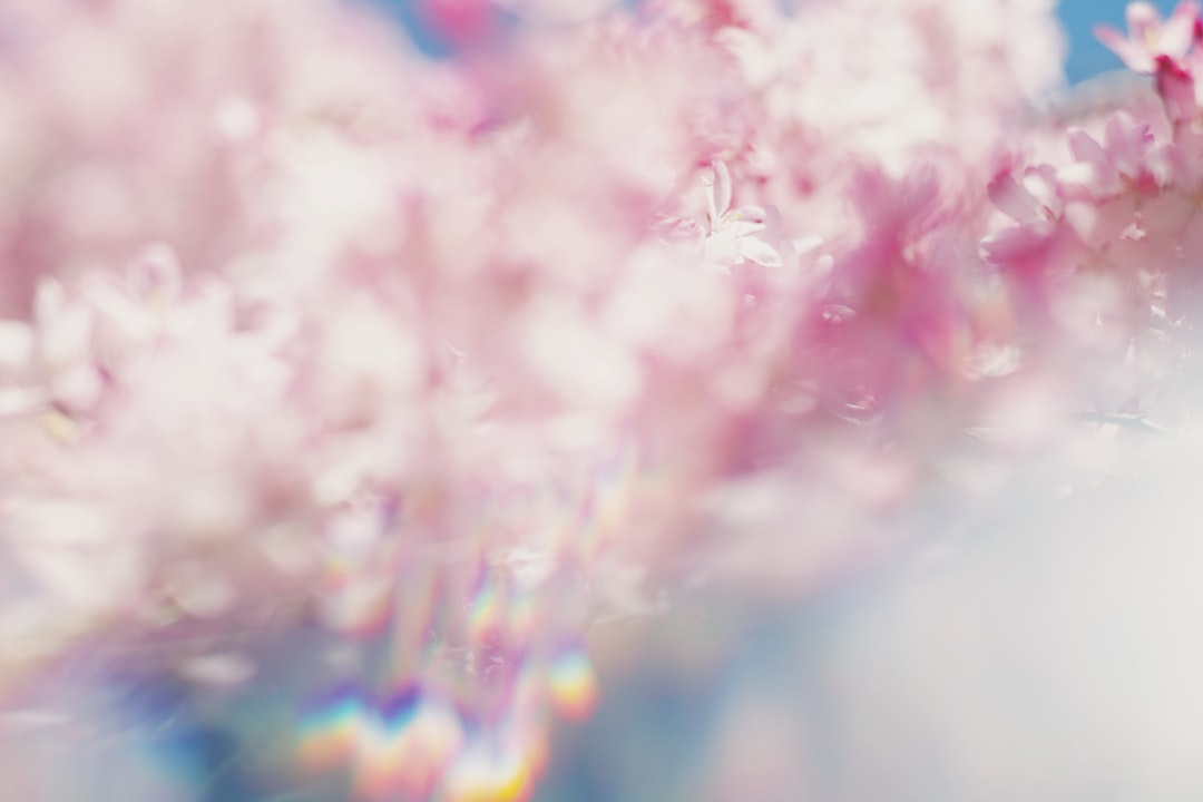 perfume 活動休止