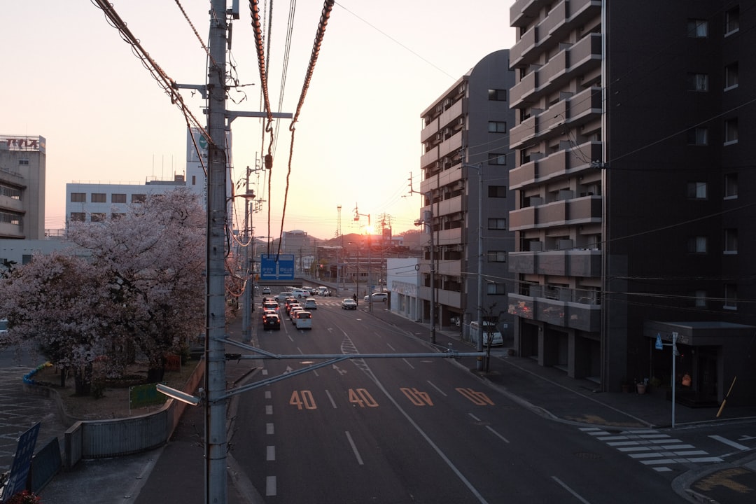 楽天 対 日本ハム