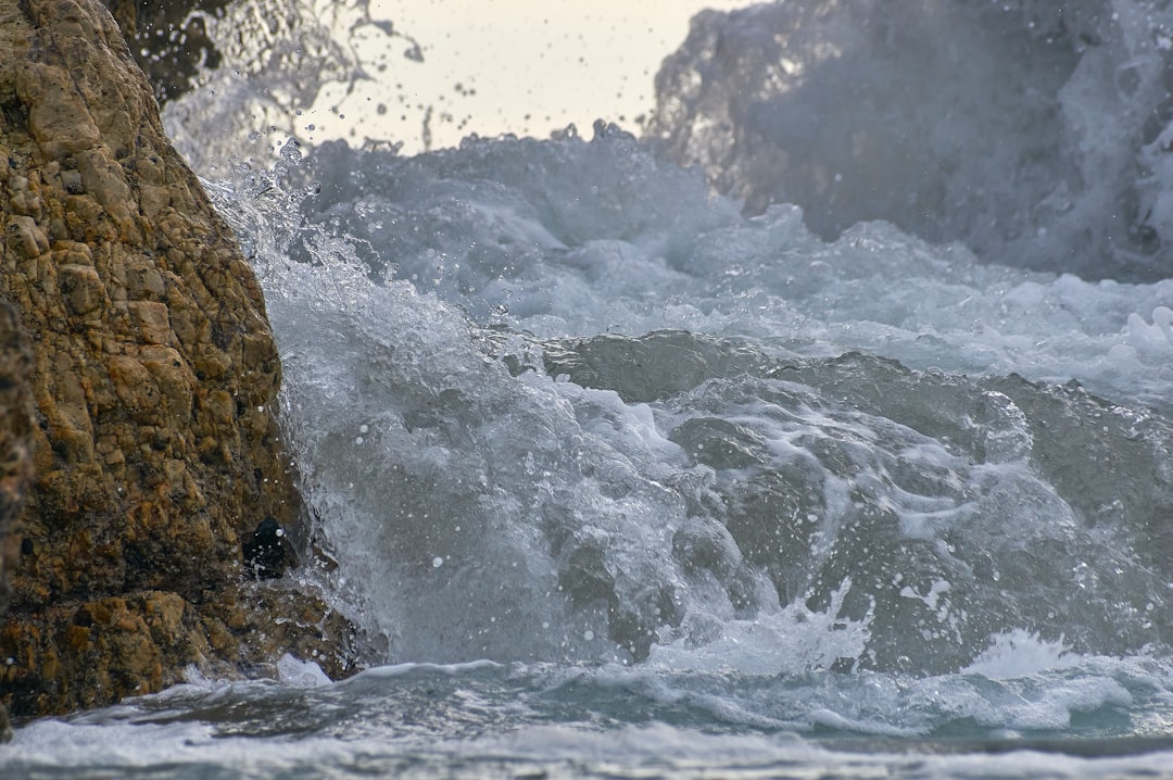 津波予報(若干の海面変動)