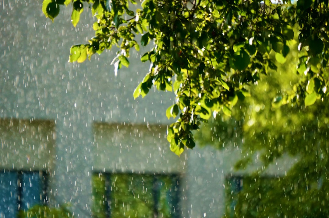 晴雨兼用 雨傘 日傘 撥水加工 通勤傘 収納ケース付き UV日傘 折りたたみ傘 丈夫 軽量 UVカット 日よけ 紫外線対策 遮光 遮熱 コンパクト 可愛い 持ち運び便利 丸いケース付き オシャレ おすすめ 人気 ギフト プレゼント