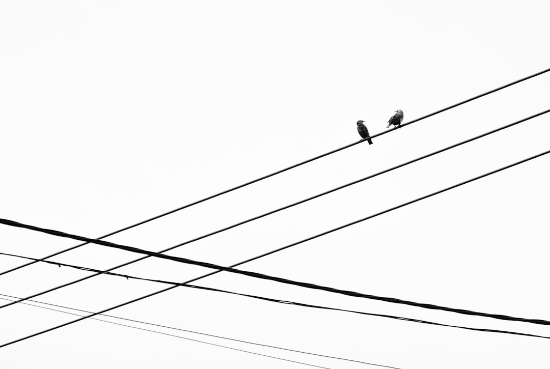 line 送信取り消し