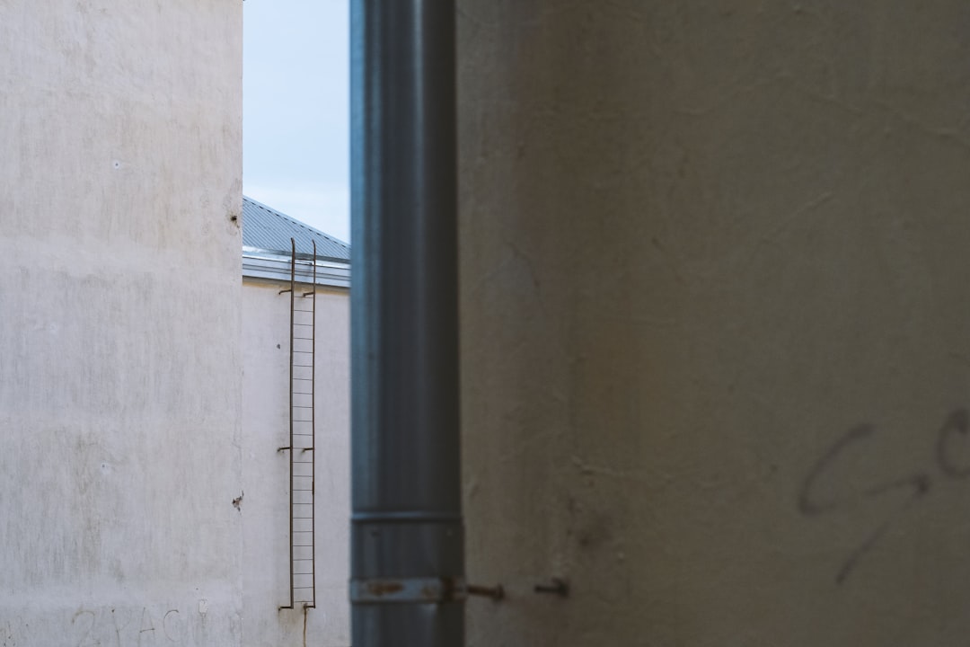 [バンダイ] 仮面ライダーギーツ DXゾンビレイズバックル&レイズバックルホルダー