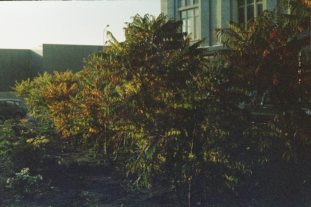 ロバートレッドフォード