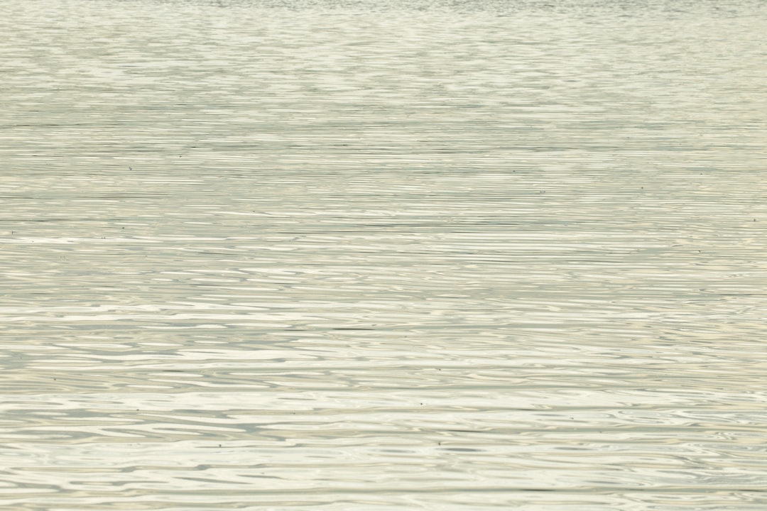 救命胴衣 釣り つり フローティング ベスト 救命 水遊び 海 ビーチ プール 大人用 夏用品 海水浴 安全 事故防止 防災用 海釣り 防災グッズ スタイリッシュ 鮎釣り 初心者 渓流釣り 魚釣り 川釣り 防災用品 船釣り aaa