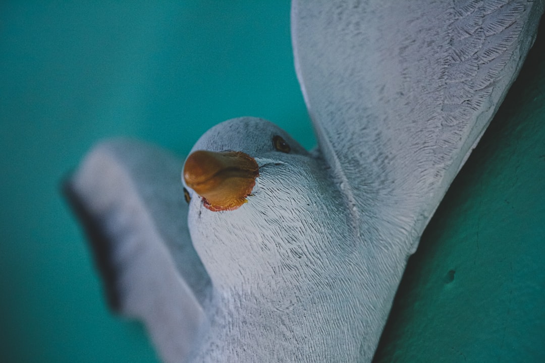タコ ぬいぐるみ 本物みたい 海洋動物 蛸 だきまくら おもちゃ 長い足 かわいい 可愛い 萌え ふわふわ もふもふ 柔らかい 癒し系 サプライズ インテリア 居眠り お誕生日 お祝い プレゼント