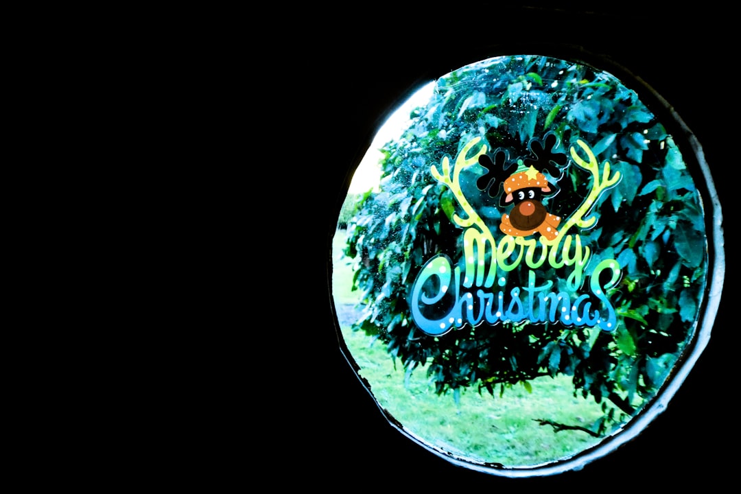 大人気商品 踊るサボテン 歌うサボテン 録音 サボテン おもちゃ 知育玩具 サボテン 真似するぬいぐるみ ダンシングサボテン 揺れ動くサボテン イタズラ玩具 面白いぬいぐるみ かわいい ギフトプレゼント 子供 クリスマス