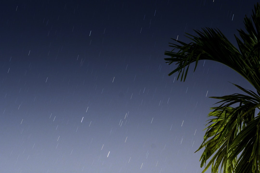 熱帯低気圧 台風 発生