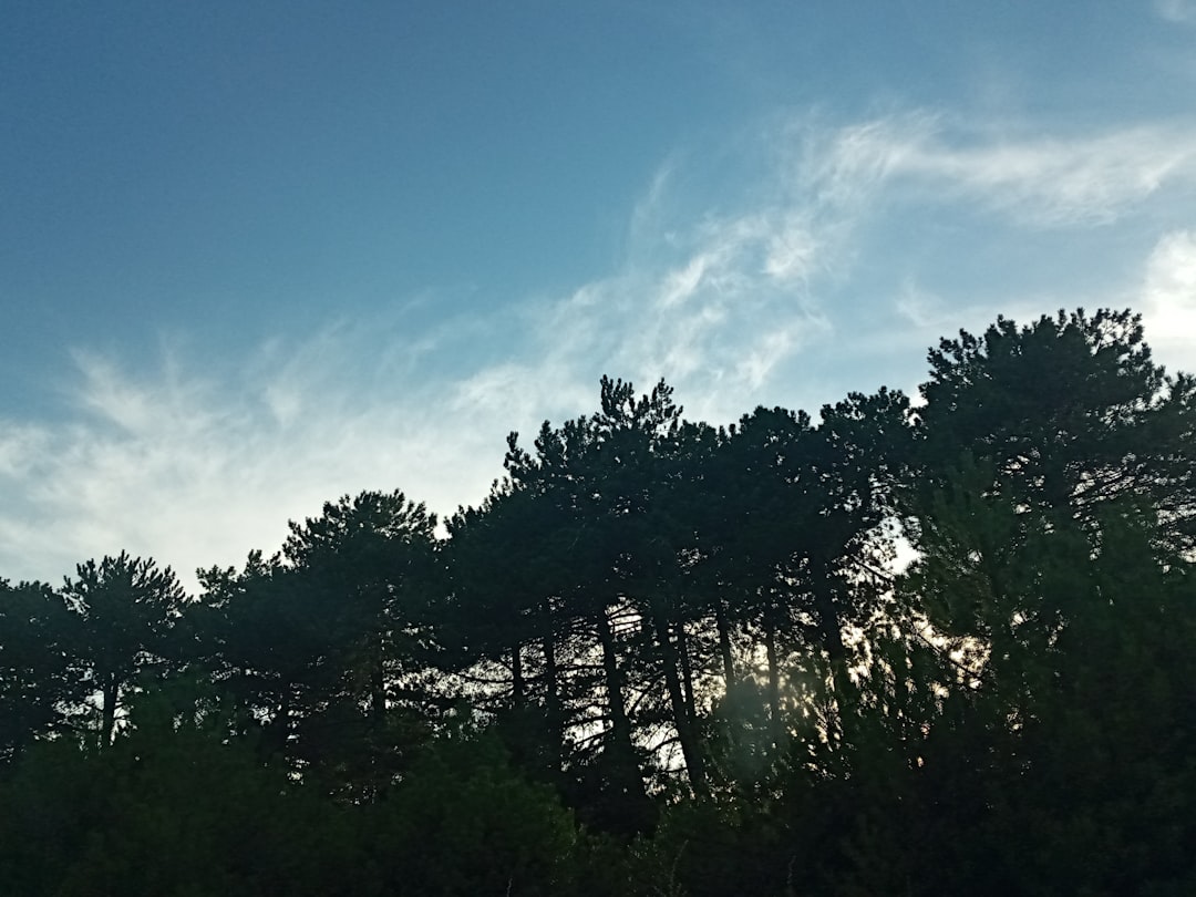 ロッテ 対 楽天