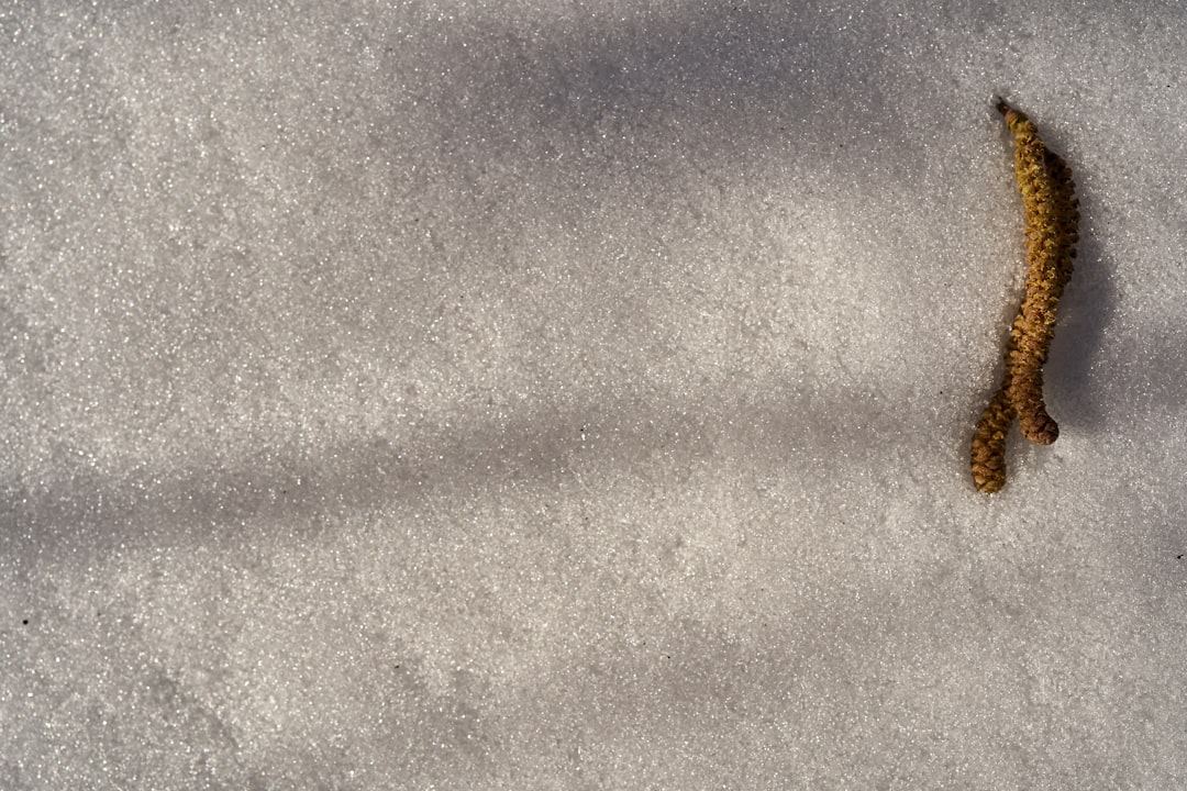 ペアルック カップル ルームウェア 部屋着 セットアップ リブモールニット 上下セット 秋 冬 パジャマ 寝間着 暖かい あったか 長袖 ロングパンツ セット 可愛い ふわふわ リラックスウェア プレゼント ギフト もこもこ レデイーズ メンズ 男女兼用 セットアップ