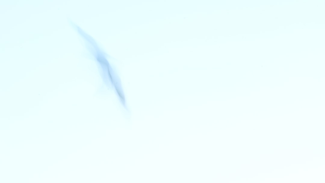 【バレーボール西田有志選手 愛用ブランド】ザムスト(ZAMST) 太ももサポーター バスケ バレー サッカー テニス ランニング スポーツ全般 日常生活 左右兼用