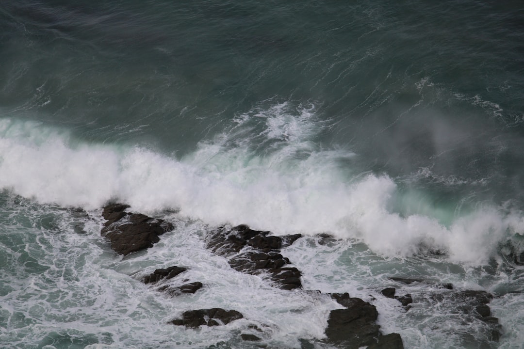 津波予報(若干の海面変動)