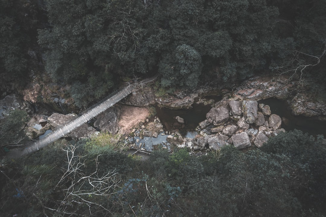 カムチャツカ半島 地震 津波