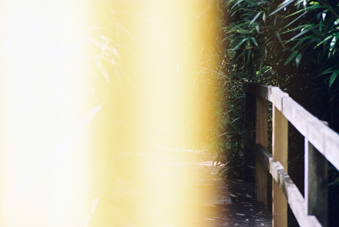 ミニストップ 出禁 高校