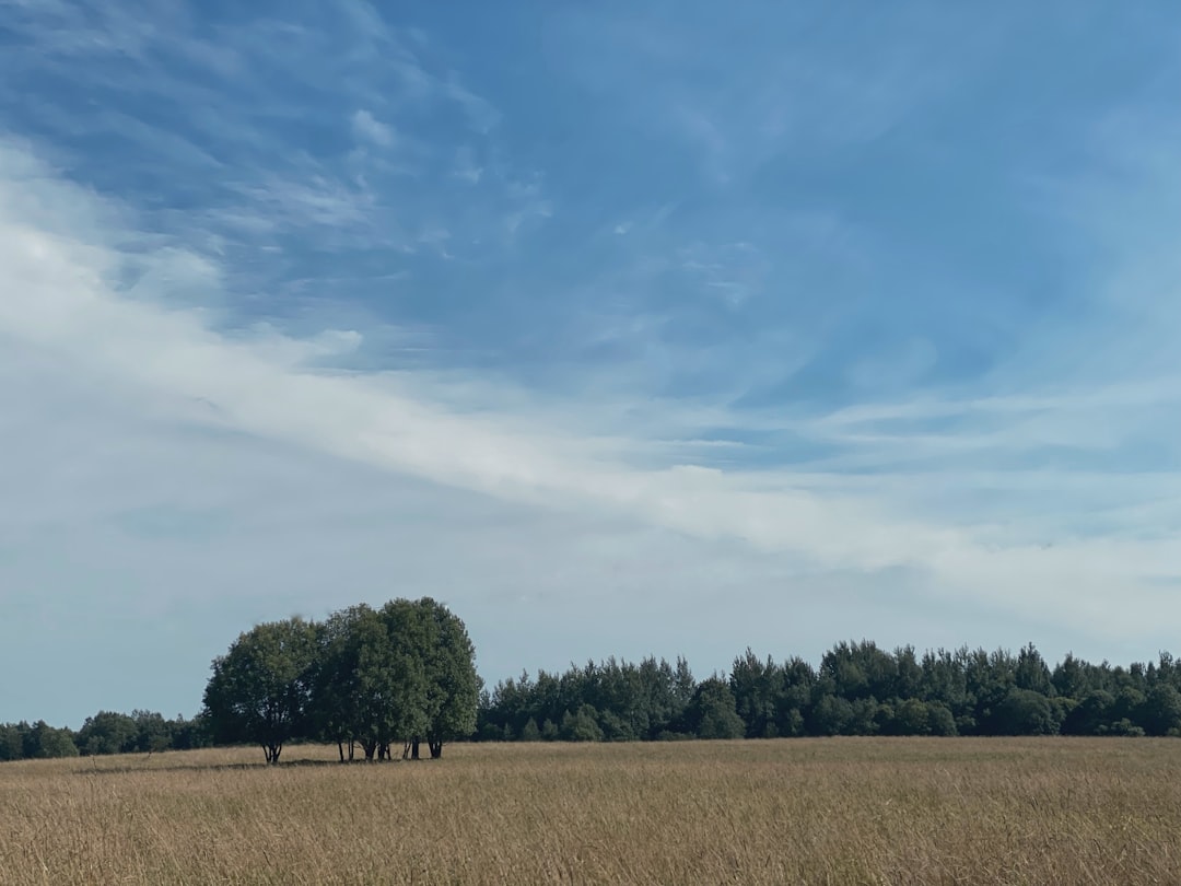 ファイアーエムブレム