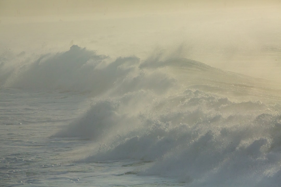 津波予報(若干の海面変動)