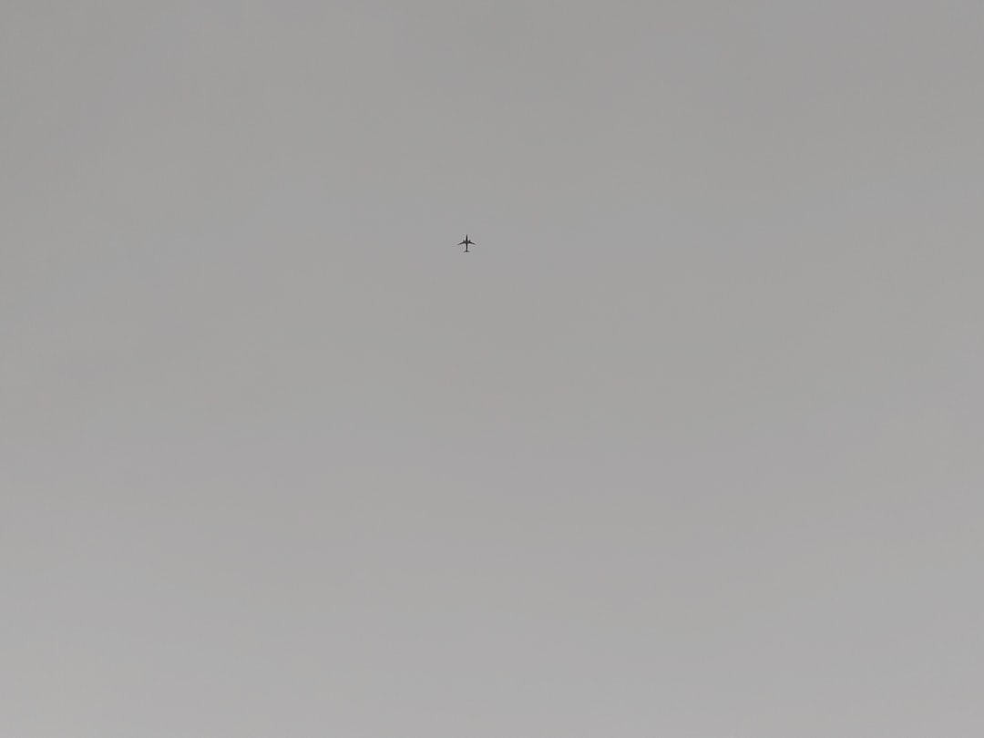 ケンタッキーフライドチキン