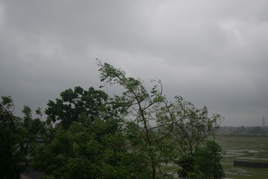 熱帯低気圧 台風 発生