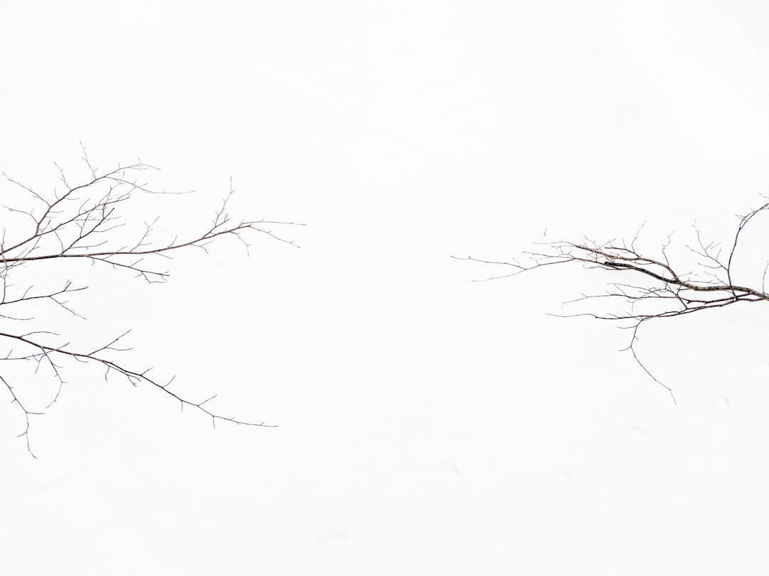 オリスラガース