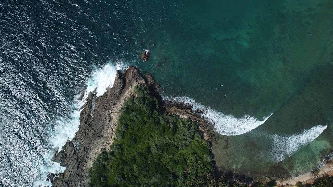 南海トラフ巨大地震