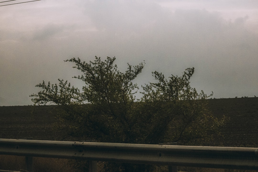 スズキ エンブレム