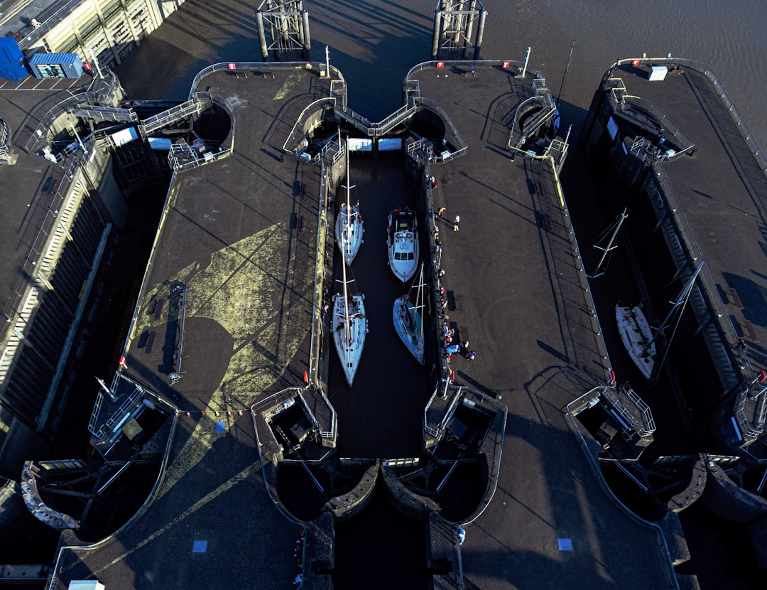 ヤクルト 対 巨人