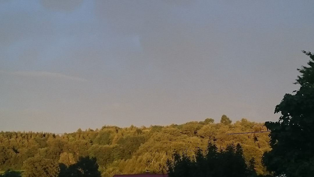 ビリーバンバン