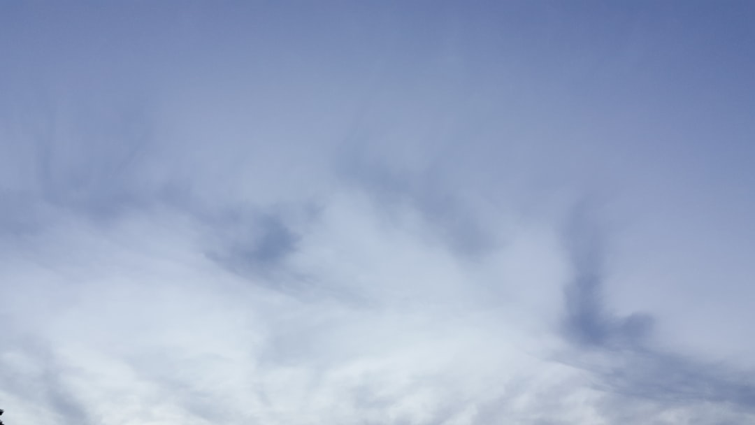 ケンタッキーフライドチキン