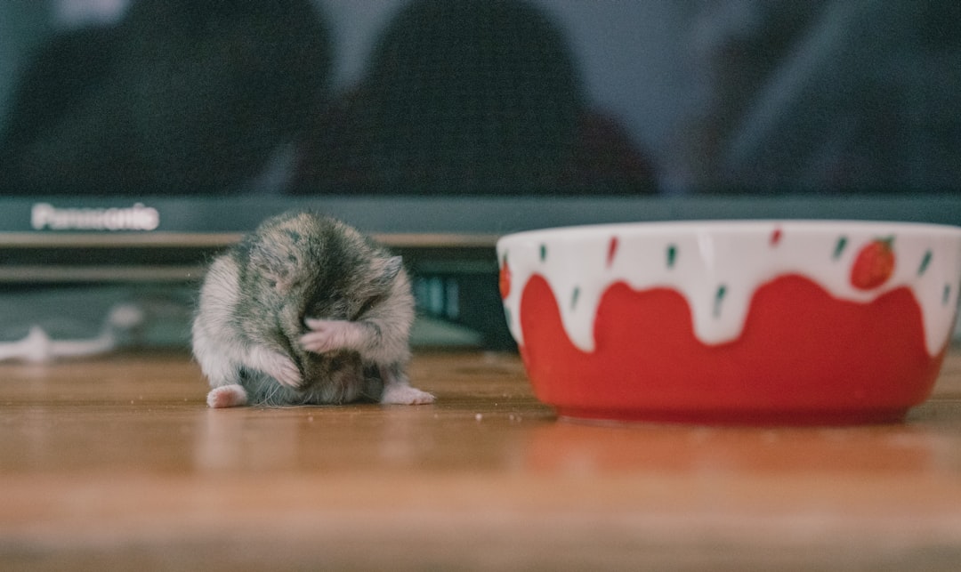 ファミチキ食べ放題